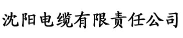 婷婷香蕉影院电缆厂logo